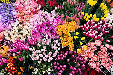 《命运2》资料片“终焉之形”将在下周三展示