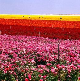 休闲挖矿游戏《Super Mining Mechs》Steam页面 年内发售